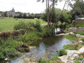 La Tarsy passant entre les pâtures à Saint Aubin