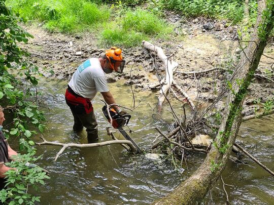 Un agent enlève des branches tombées dans un cours d'eau